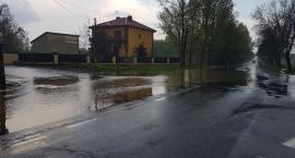 Fotka nr 5 z 19