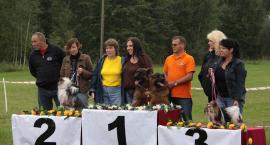zdjęcie nr 27