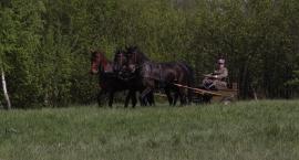 zdjęcie nr 74