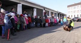 zdjęcie nr 14