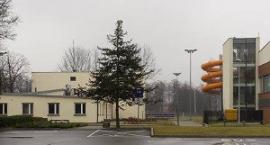 zdjęcie nr 15