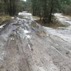 zdjęcie nr 26