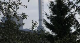 zdjęcie nr 8