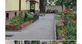 zdjęcie nr 15