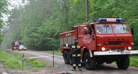 Fotka nr 3 z 49