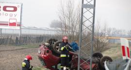 zdjęcie nr 13