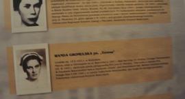 zdjęcie nr 20