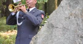 zdjęcie nr 20