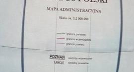 zdjęcie nr 11