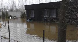 zdjęcie nr 8