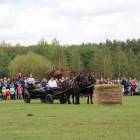 zdjęcie nr 119