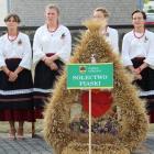 zdjęcie nr 12