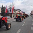 zdjęcie nr 7