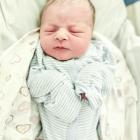   Gabryś  urodził się 7 grudnia 2025 r. o godz. 5:04. Ważył 3180 g i mierzył 53 cm....