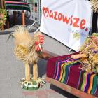 zdjęcie nr 36