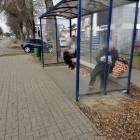 zdjęcie nr 8