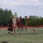 zdjęcie nr 131