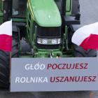 zdjęcie nr 18
