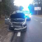 Fotka nr 2 z 4