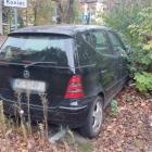 zdjęcie nr 7