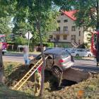 zdjęcie nr 7
