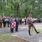 zdjęcie nr 8