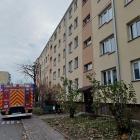 Fotka nr 4 z 16