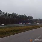 Fotka nr 2 z 11
