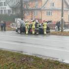 Fotka nr 4 z 17