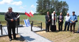 zdjęcie nr 10