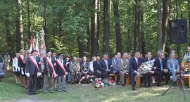 zdjęcie nr 7