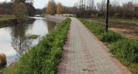 zdjęcie nr 9