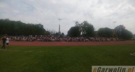 zdjęcie nr 17