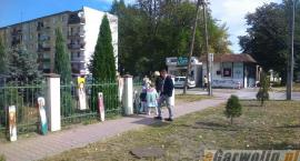zdjęcie nr 37