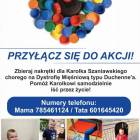 Fotka nr 1 z 8