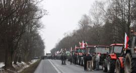 zdjęcie nr 36