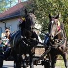 zdjęcie nr 96