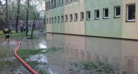 zdjęcie nr 9