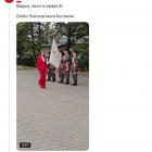 Fotka nr 4 z 6
