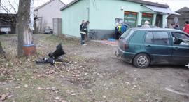 Fotka nr 2 z 7