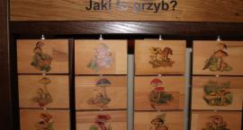 zdjęcie nr 85