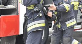 Fotka nr 3 z 23