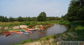 zdjęcie nr 22