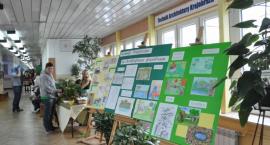zdjęcie nr 38