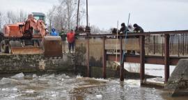 Fotka nr 1 z 16