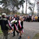 zdjęcie nr 8