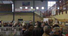 zdjęcie nr 28