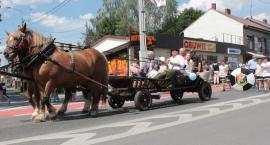 zdjęcie nr 28