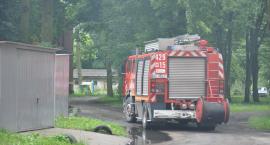 Fotka nr 1 z 8