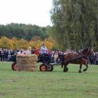zdjęcie nr 128